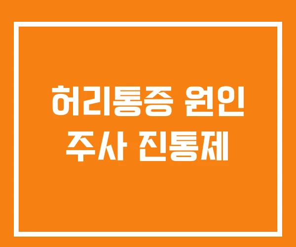 허리통증 원인 주사 진통제
