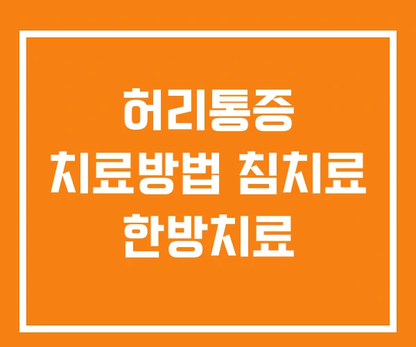 허리통증 치료방법 침치료 한방치료 허리통증 치료방법 침치료 한방치료