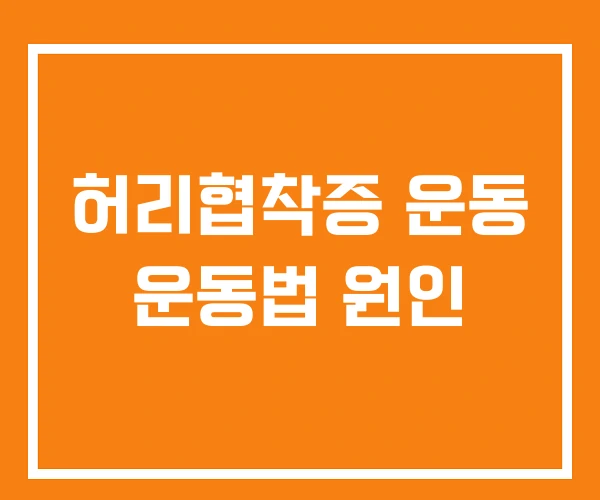 허리협착증 운동 운동법 원인 허리협착증 운동 운동법 원인