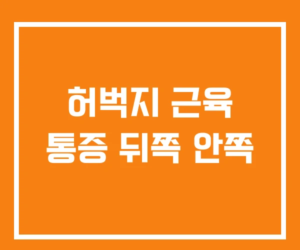 허벅지 근육 통증 뒤쪽 안쪽