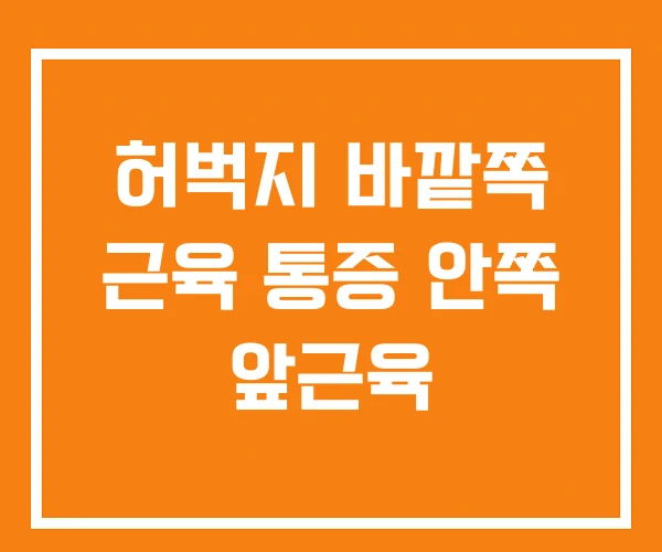 허벅지 바깥쪽 근육 통증 안쪽 앞근육 허벅지 바깥쪽 근육 통증 안쪽 앞근육