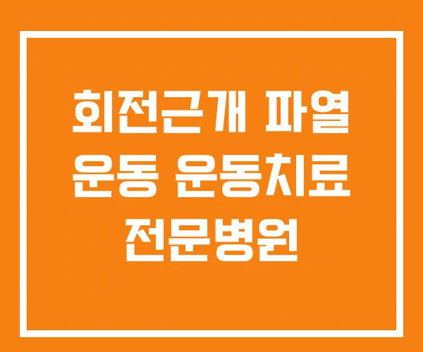 회전근개 파열 운동 운동치료 전문병원