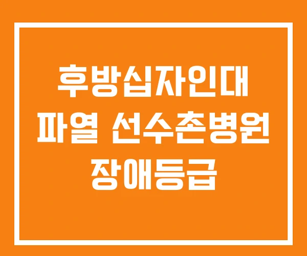 후방십자인대 파열 선수촌병원 장애등급