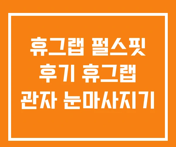 휴그랩 펄스핏 후기 휴그랩 관자 눈마사지기