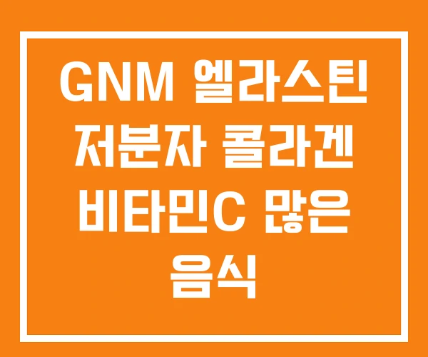 GNM 엘라스틴 저분자 콜라겐 비타민C 많은 음식