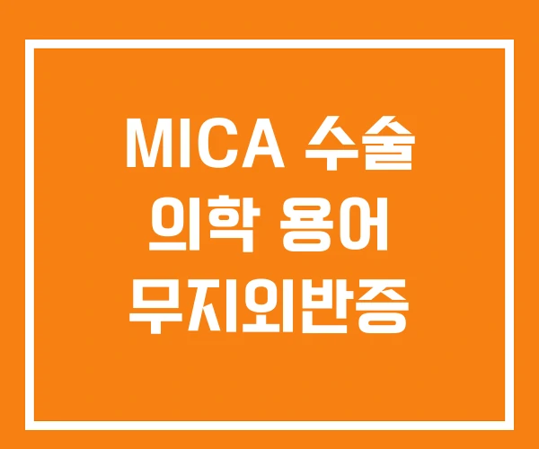 MICA 수술 의학 용어 무지외반증