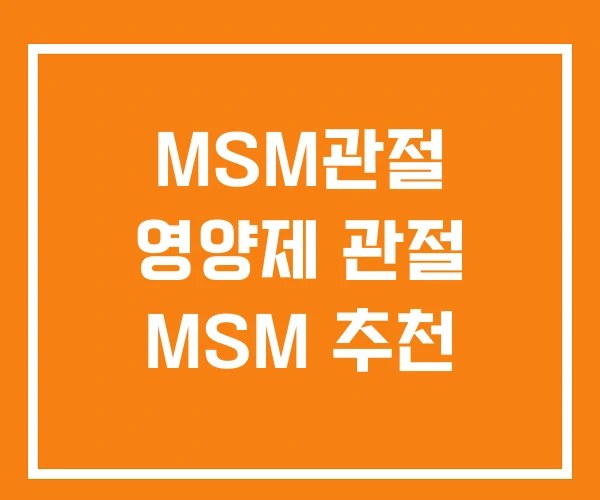 MSM관절 영양제 관절 MSM 추천