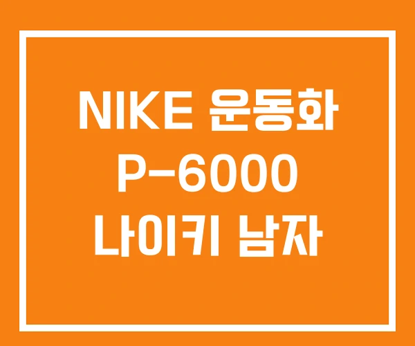 NIKE 운동화 P-6000 나이키 남자