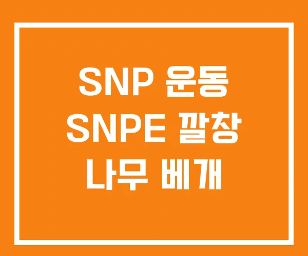 SNP 운동 SNPE 깔창 나무 베개