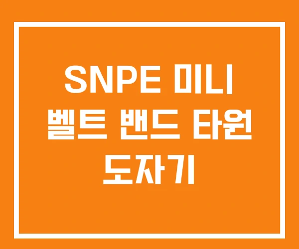 SNPE 미니 벨트 밴드 타원 도자기