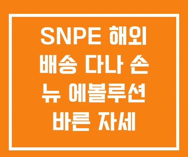 SNPE 해외 배송 다나 손 뉴 에볼루션 바른 자세 교정밴드