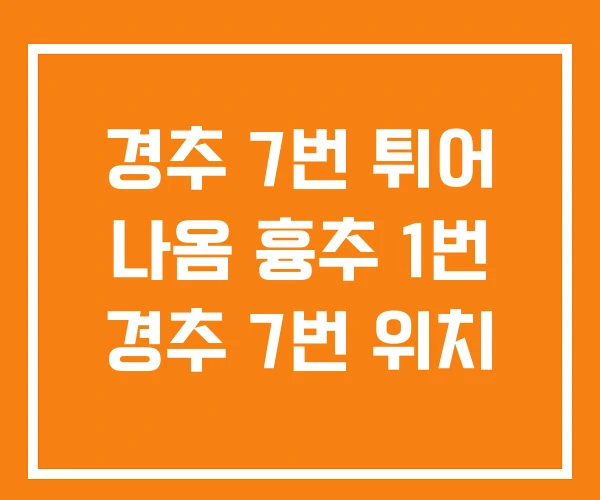 경추 7번 튀어 나옴 흉추 1번 경추 7번 위치