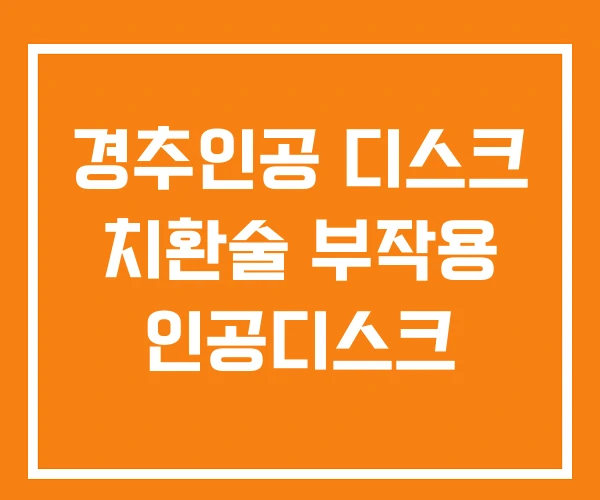 경추인공 디스크 치환술 부작용 인공디스크
