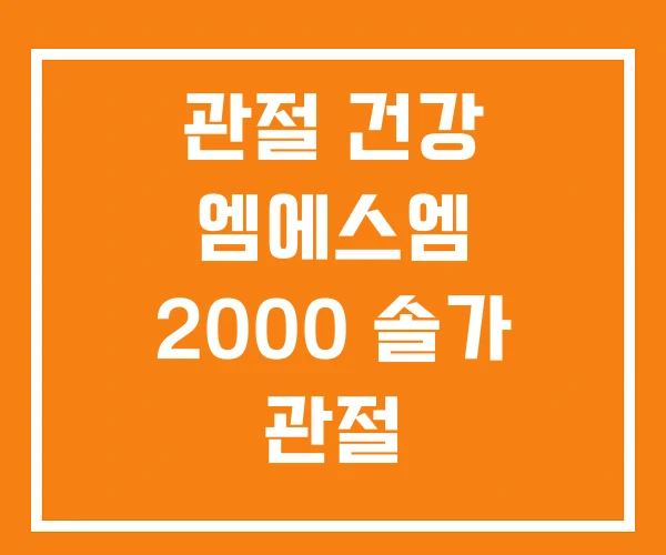 관절 건강 엠에스엠 2000 솔가 관절 엠에스엠2000 효능