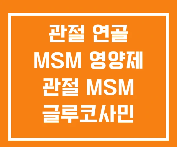 관절 연골 MSM 영양제 관절 MSM 글루코사민