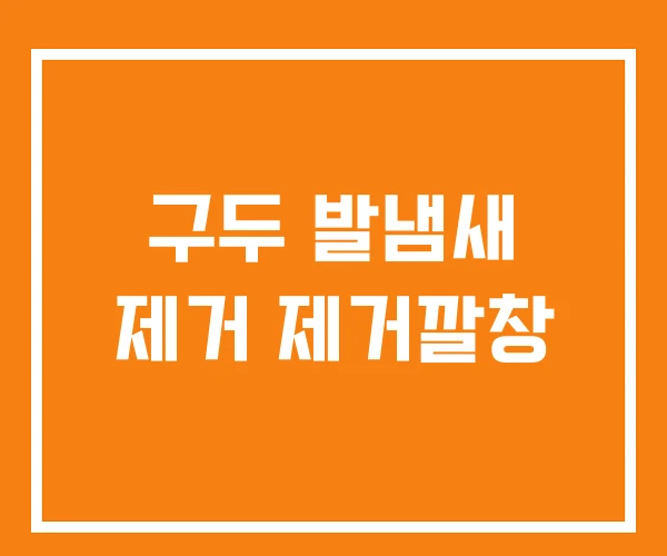 구두 발냄새 제거 제거깔창