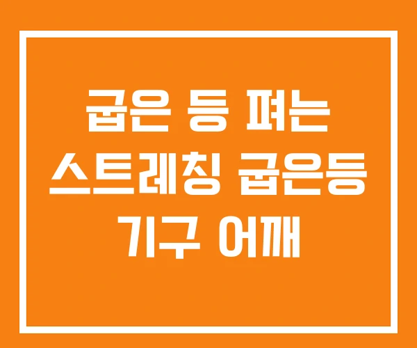 굽은 등 펴는 스트레칭 굽은등 기구 어깨