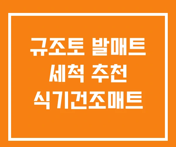 규조토 발매트 세척 추천 식기건조매트