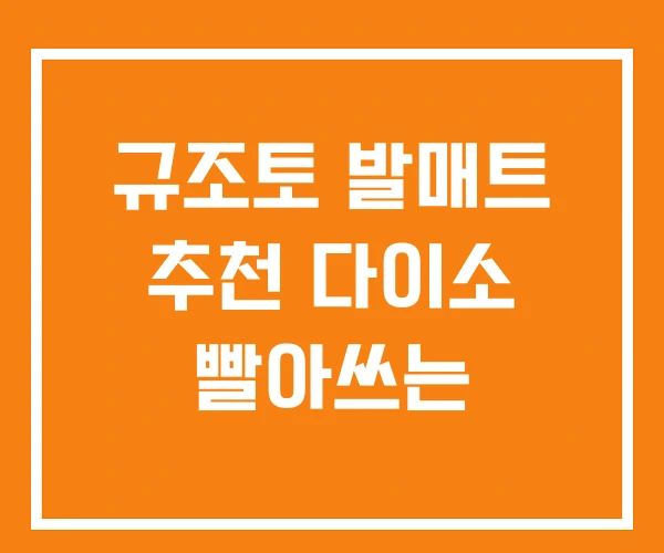 규조토 발매트 추천 다이소 빨아쓰는