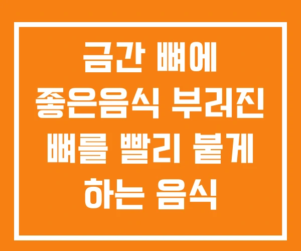 금간 뼈에 좋은음식 부러진 뼈를 빨리 붙게 하는 음식