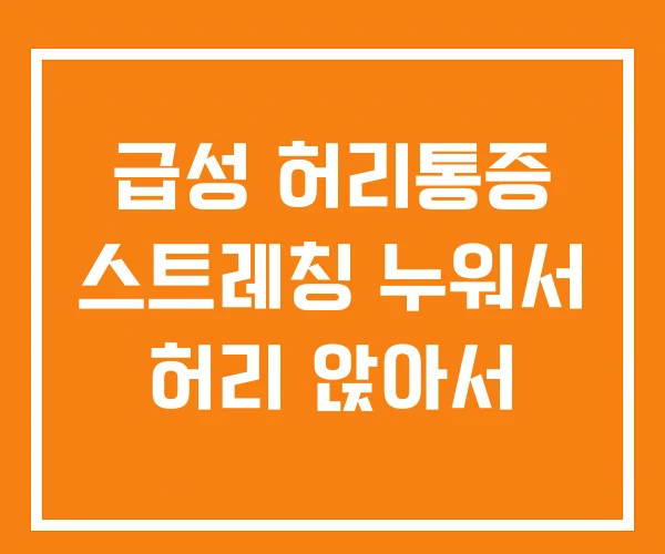 급성 허리통증 스트레칭 누워서 허리 앉아서