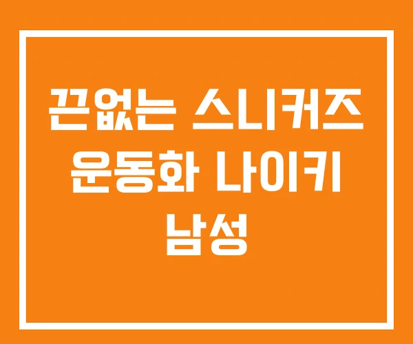 끈없는 스니커즈 운동화 나이키 남성