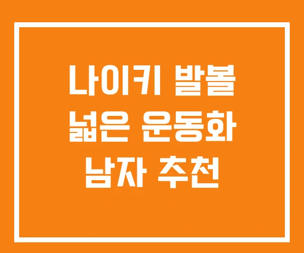나이키 발볼 넓은 운동화 남자 추천