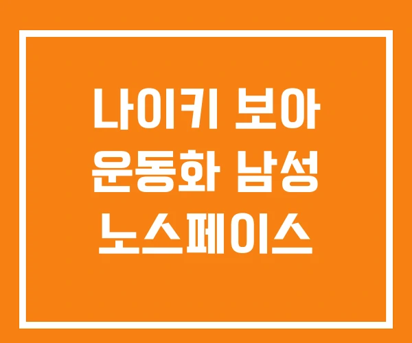 나이키 보아 운동화 남성 노스페이스