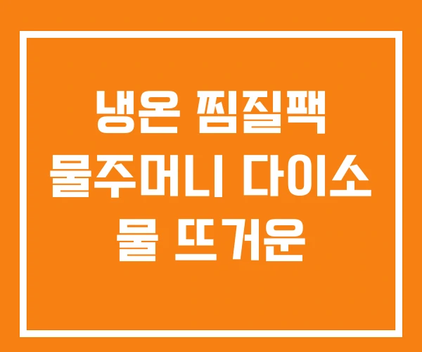 냉온 찜질팩 물주머니 다이소 물 뜨거운