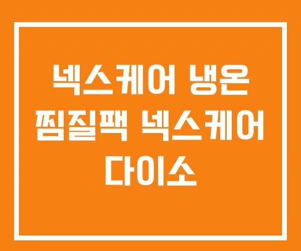 넥스케어 냉온 찜질팩 넥스케어 다이소