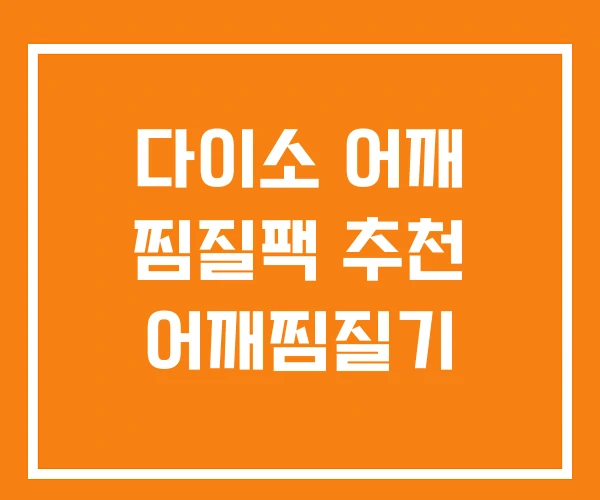 다이소 어깨 찜질팩 추천 어깨찜질기