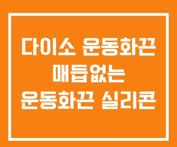 다이소 운동화끈 매듭없는 운동화끈 실리콘