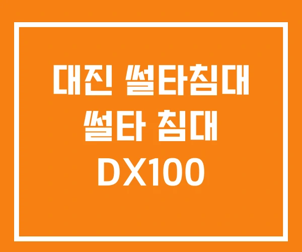 대진 썰타침대 썰타 침대 DX100