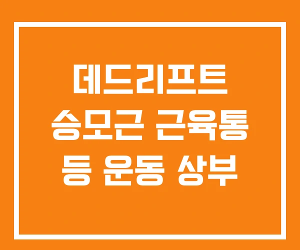 데드리프트 승모근 근육통 등 운동 상부