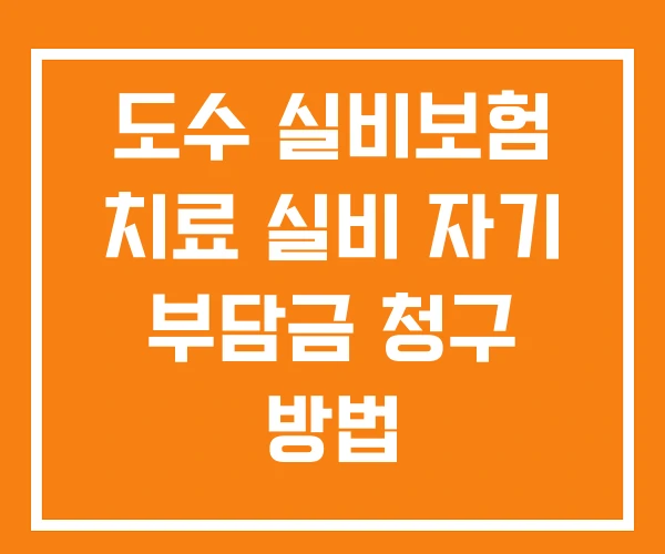 도수 실비보험 치료 실비 자기 부담금 청구 방법