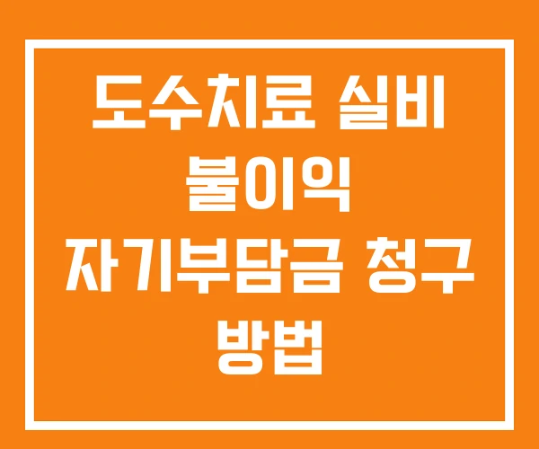 도수치료 실비 불이익 자기부담금 청구 방법