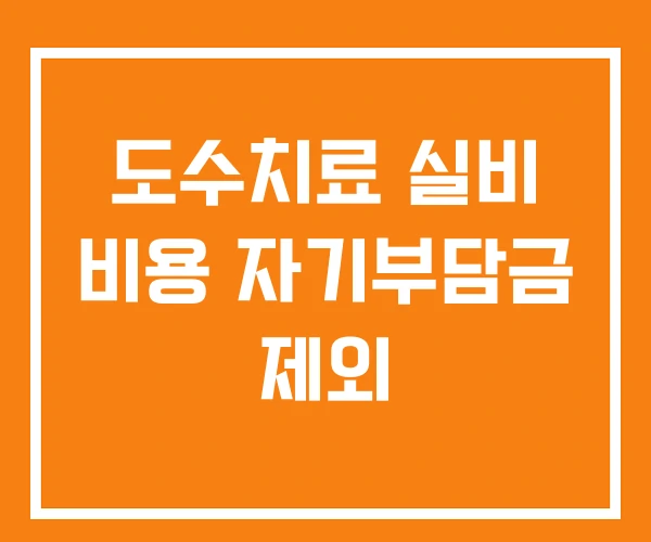 도수치료 실비 비용 자기부담금 제외