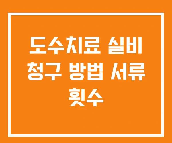 도수치료 실비 청구 방법 서류 횟수
