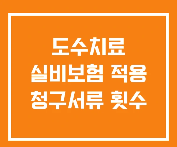 도수치료 실비보험 적용 청구서류 횟수