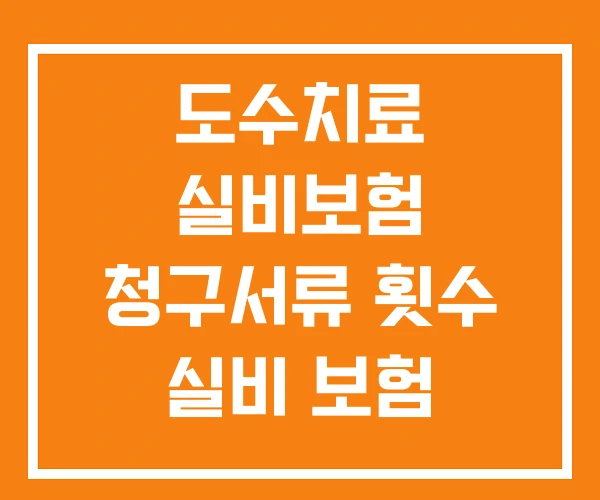 도수치료 실비보험 청구서류 횟수 실비 보험
