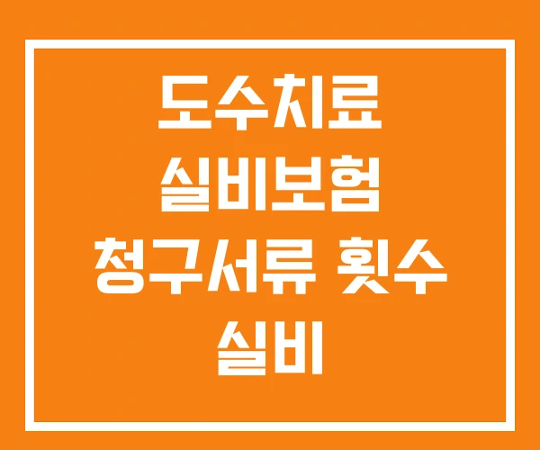 도수치료 실비보험 청구서류 횟수 실비