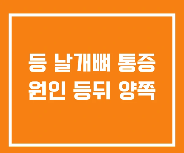 등 날개뼈 통증 원인 등뒤 양쪽
