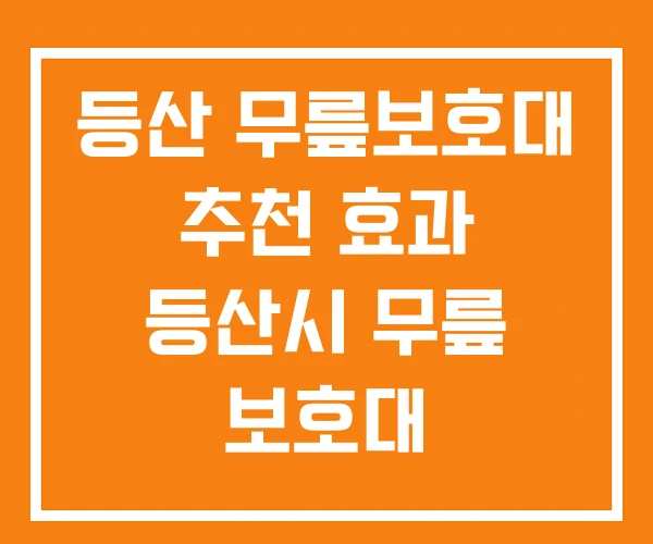 등산 무릎보호대 추천 효과 등산시 무릎 보호대