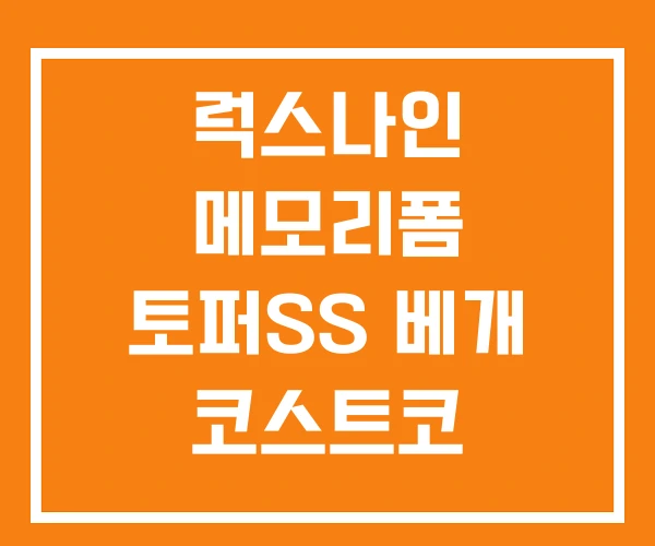 럭스나인 메모리폼 토퍼SS 베개 코스트코
