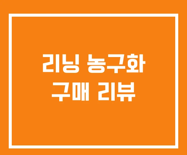 리닝 농구화 구매 리뷰