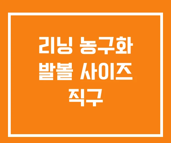 리닝 농구화 발볼 사이즈 직구