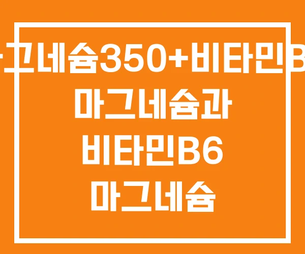 마그네슘350+비타민B6 마그네슘과 비타민B6 마그네슘