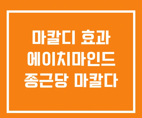마칼디 효과 에이치마인드 종근당 마칼다