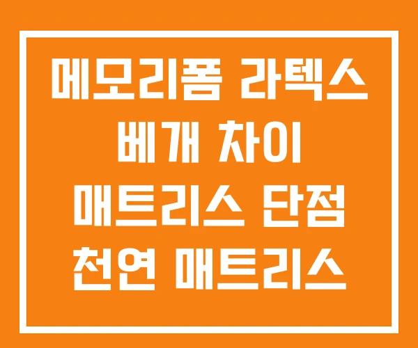 메모리폼 라텍스 베개 차이 매트리스 단점 천연 매트리스 가격