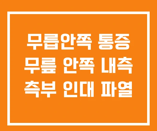 무릅안쪽 통증 무릎 안쪽 내측 측부 인대 파열